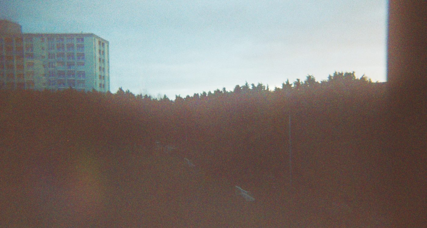 Damien's photograph (for the 21st Century Kids) of outside taken from a window it seems. There is a tower block in the background and a tall hedge in the foreground.