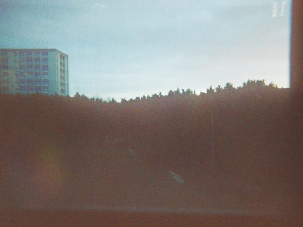 Damien's photograph (for the 21st Century Kids) of outside taken from a window it seems. There is a tower block in the background and a tall hedge in the foreground.