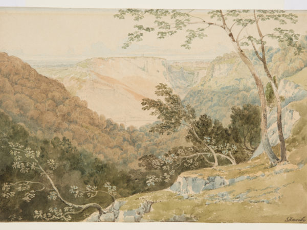A painting of a cliffside forest