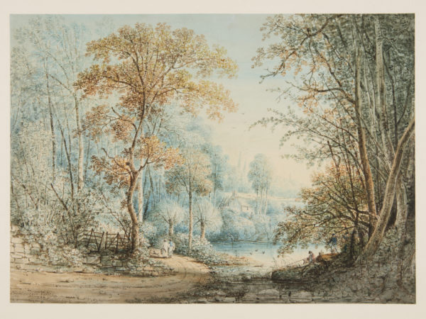 A painting of a forest