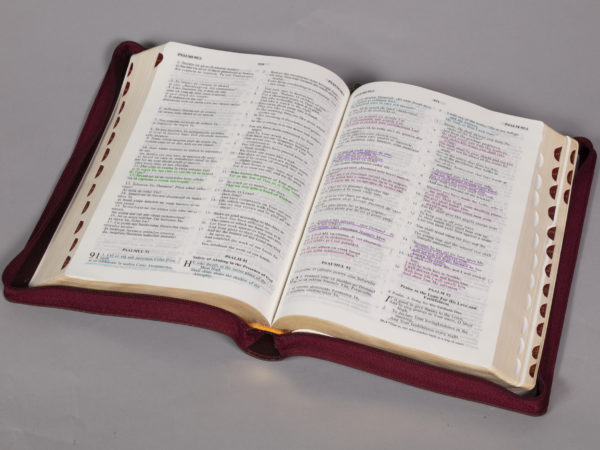 a bible with its pages open and highlighted text