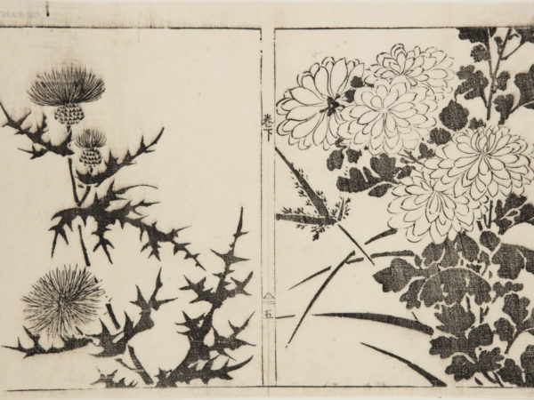 Two Japanese prints one of thistles and spiky leaves, the other of flowers and leaves.