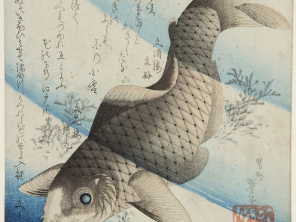 Japanese print of a large carp swimming through water and pond weed.