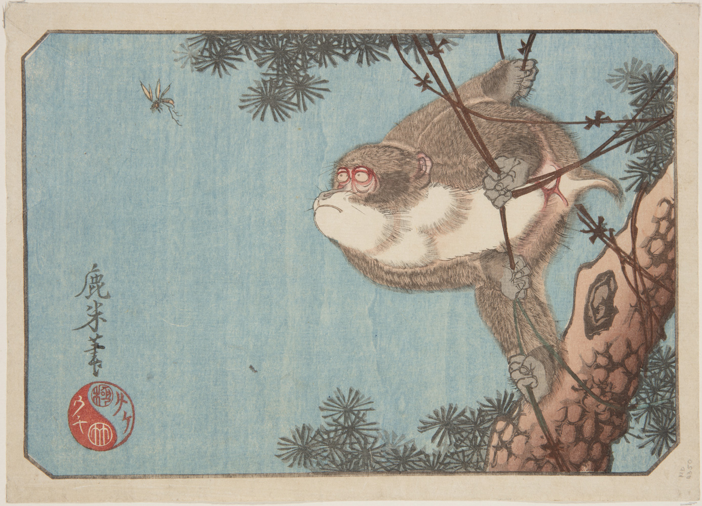 Japanese print of a monkey, in a tree, holding on to vines with its hands and feet, he looks intently at a flying insect.