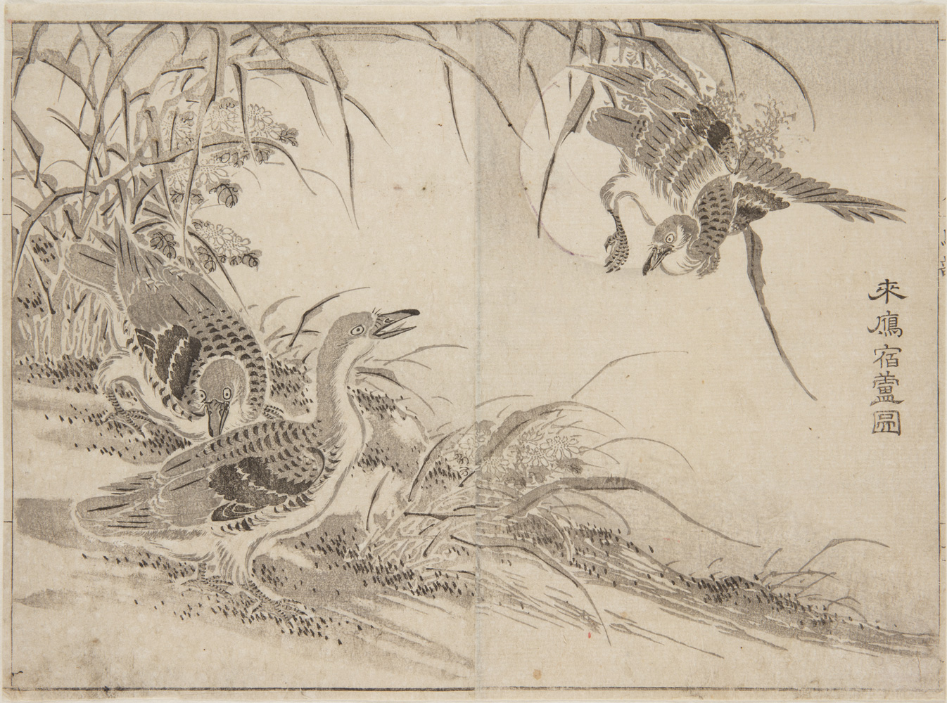Japanese print of three geese, two on the ground and a third coming into land next to them.
