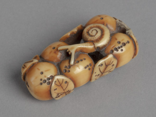 A Japanese ivory netsuke of a small snail crawling across a branch of five worm-eaten persimmons.