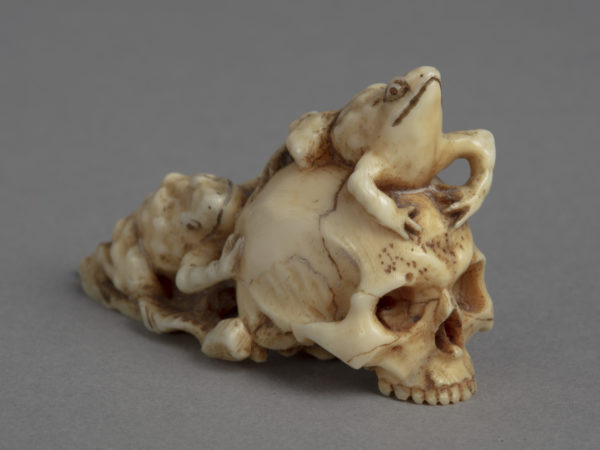 A Japanese ivory netsuke of two frogs and a skull. One frog sits on top the skull.