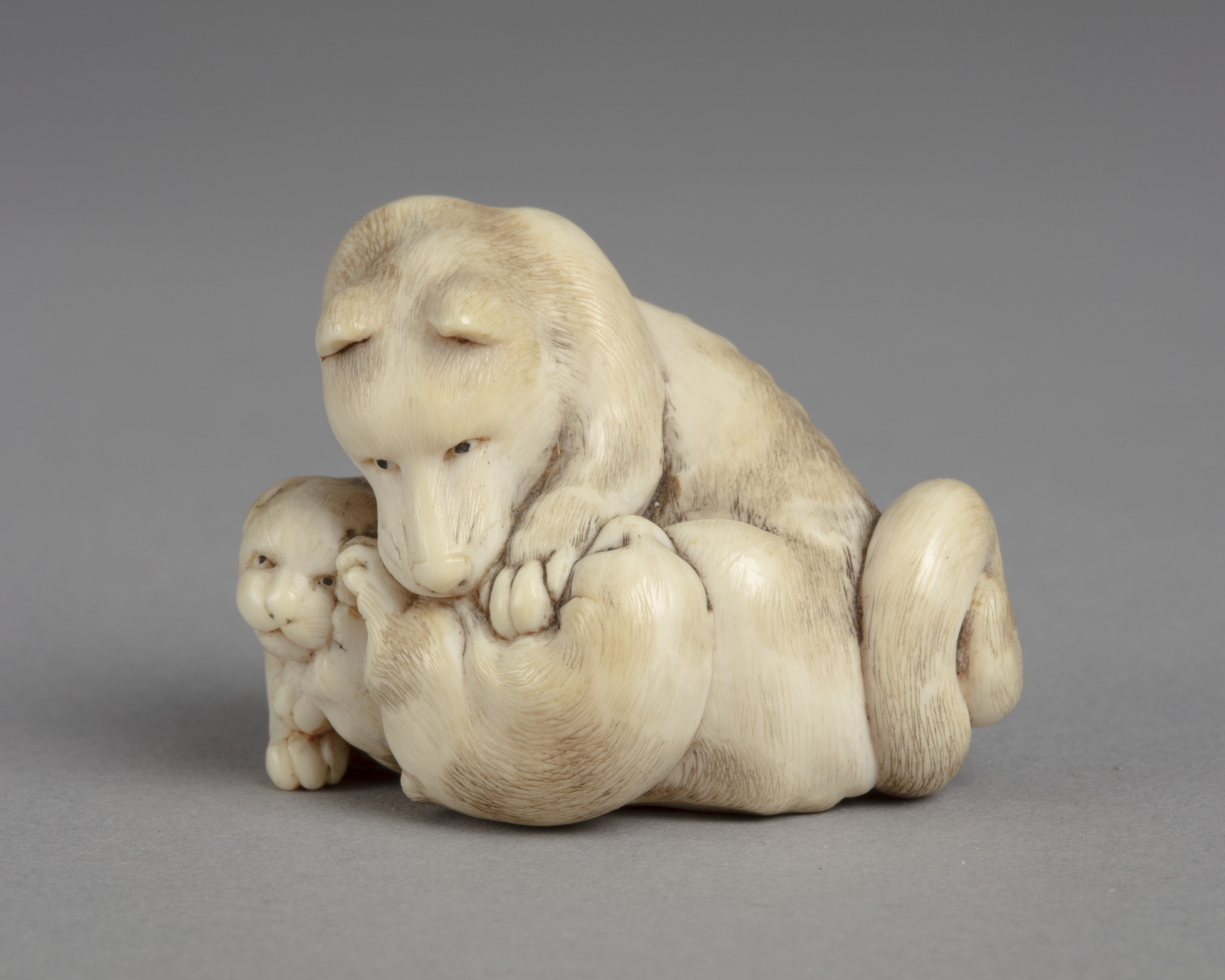 A Japanese ivory netsuke of a dog playing with two puppies. One puppy is rolled over, the other by the dog gazing up.