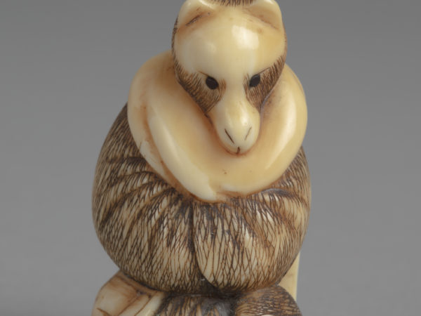 A Japanese ivory netsuke of a standing tanuki, a badger-like racoon native to Japan. It wears thick winter robes.