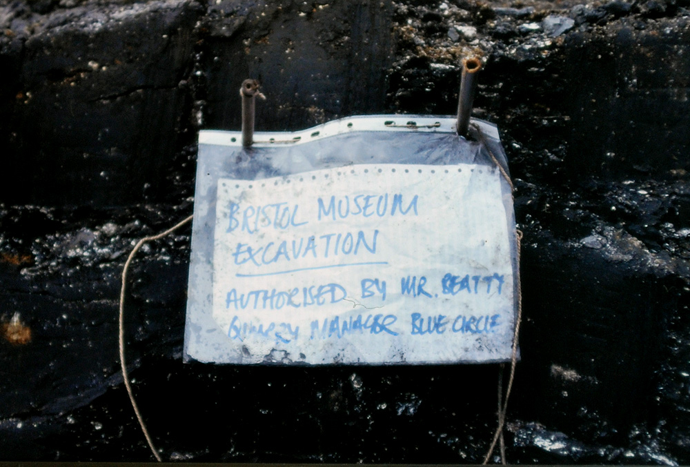 a paper sign in a plastic folder reads 'bristol museum excavation'