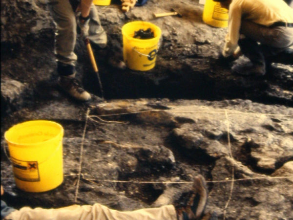a team of excavators digs around rocks