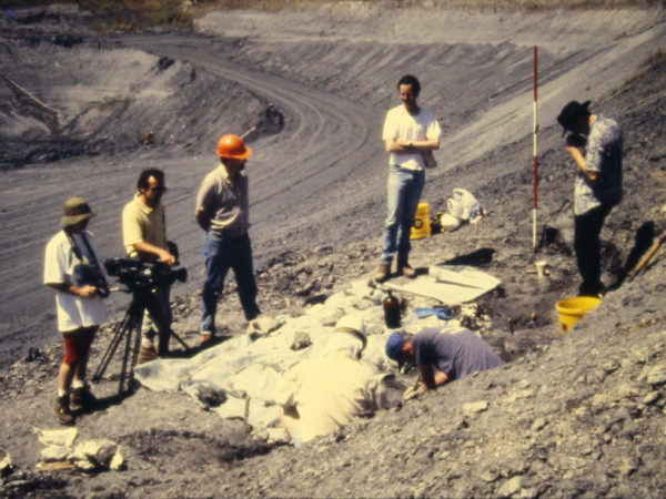 a group of five people stand around a fossil, one is taking a photo. another person is crouched down working on the fossil