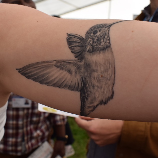 a detailed black and white hummingbird tattoo on a forearm