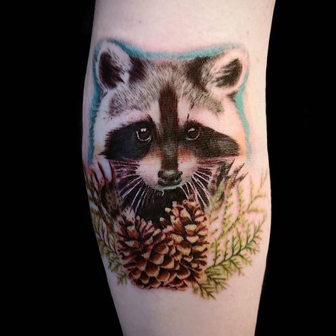 Realistic raccoon tattoo in colour, below the raccoon are pine cones and pine leaves